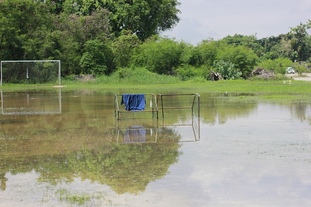 篮球CBA球队管理层调整战略