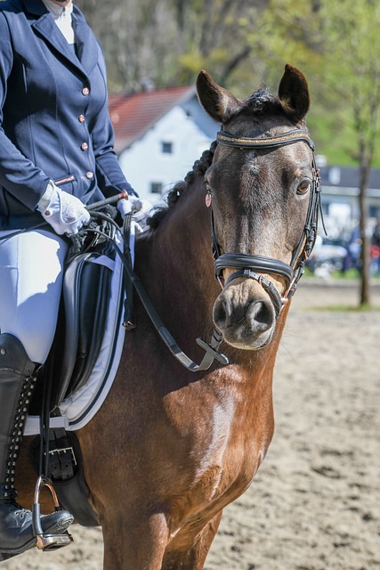 魏翊东：我和谢晖合影是在J联赛现场，被捏造成他要执教国安